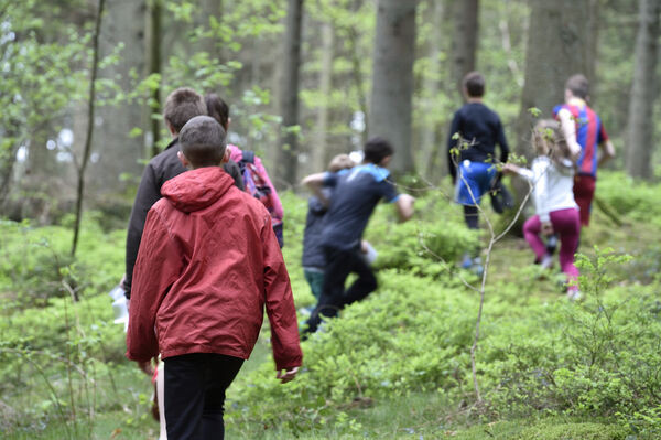Coureurs dans la nature