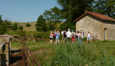 activités nature bairon